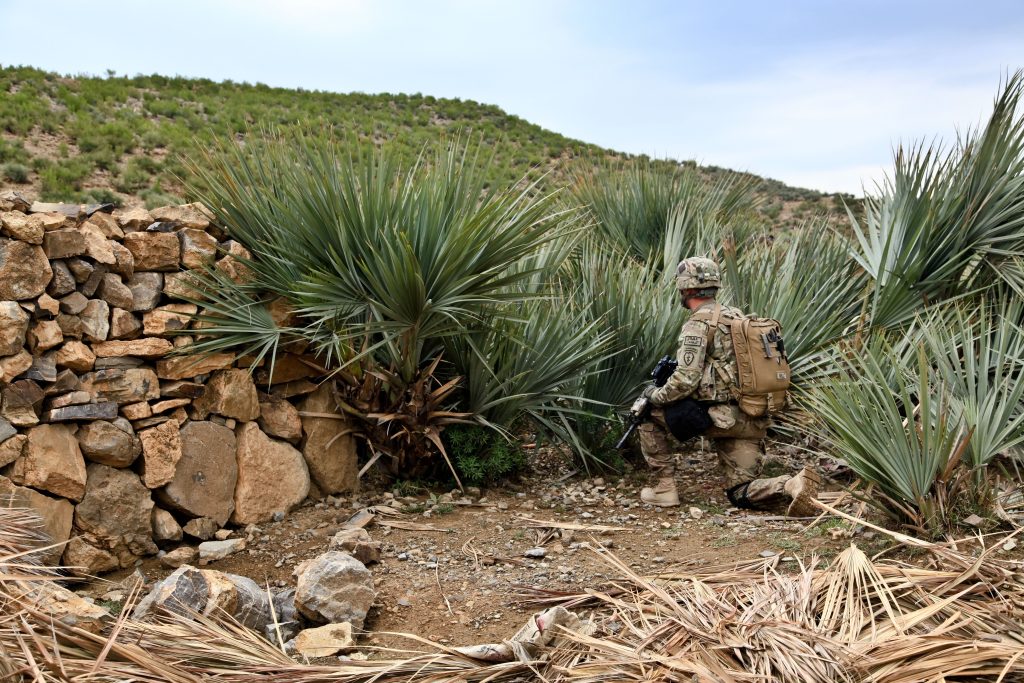 armyamber scout 60769